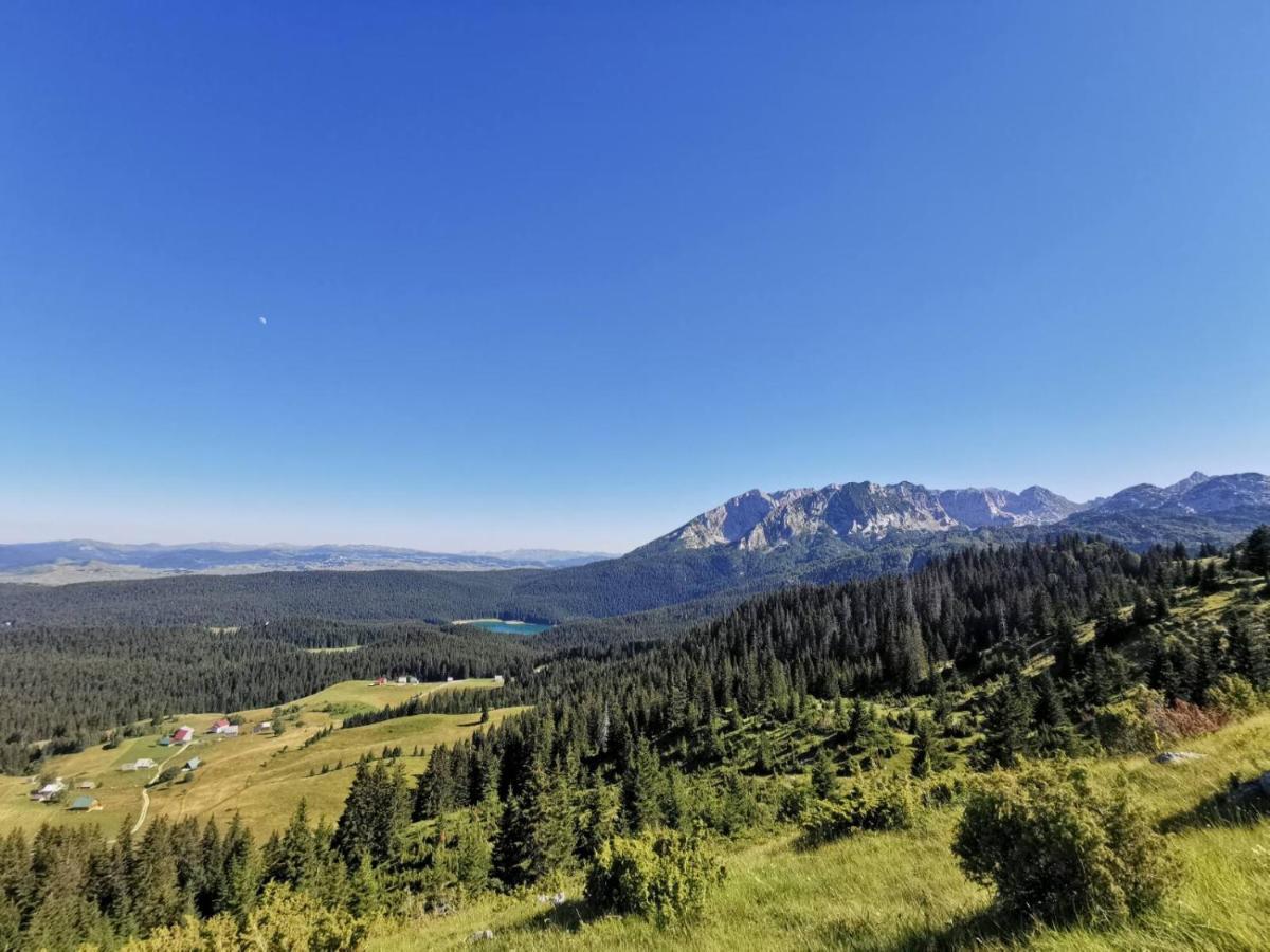 Bosaca Villa Žabljak Екстериор снимка