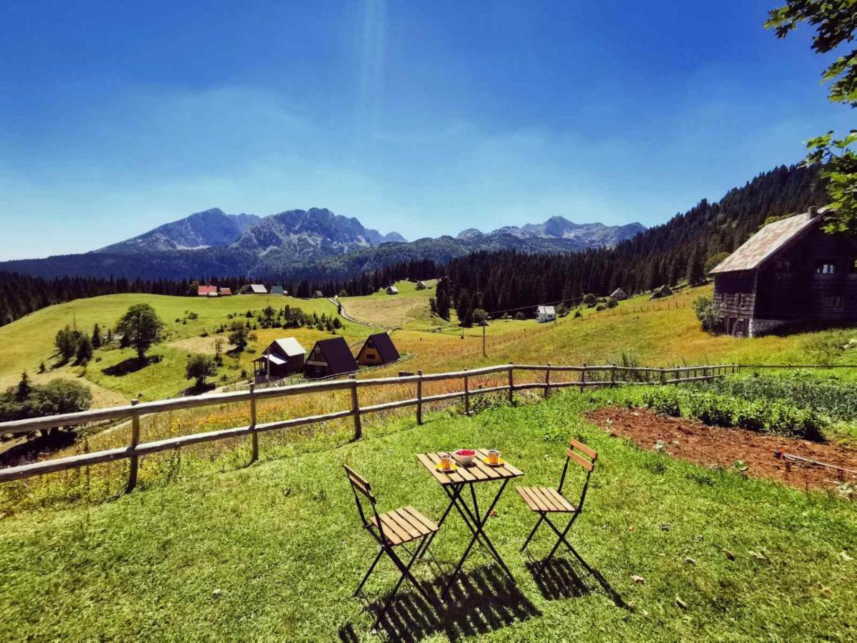 Bosaca Villa Žabljak Екстериор снимка